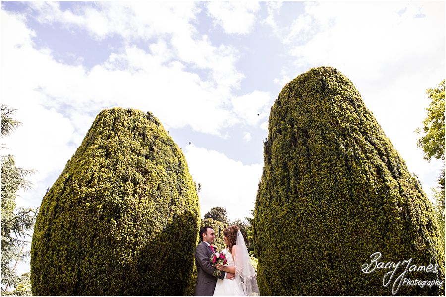 Creative photographs around the beautiful setting of Packington Moor in Lichfield by Lichfield Wedding Photographer Barry James